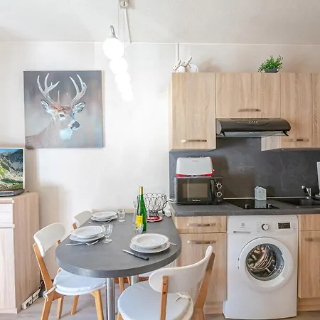Apartment : Charmant, Balcon Vue Mont-blanc, Parking, Wifi, Animaux Acceptes - Fr-1-343-221
