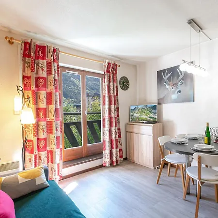 Avec Vue Mont-blanc, Wifi Et Animaux Acceptes - Fr-1-343-221 Chamonix