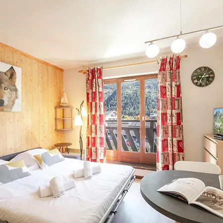 Avec Vue Mont-blanc, Wifi Et Animaux Acceptes - Fr-1-343-221 * Chamonix